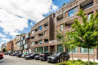 Locatie:<br />In de hippe en rustige Cadixwijk op het Eilandje. Vlakbij een leuk parkje. <br /><br />Beschikbaar vanaf 1 april of 1 mei .<br />Gelegen op de 3de verdieping met lift. <br /><br />Indeling: inkomhal, badkamer met douche en toilet, lichtrijke leefruimte met ingerichte open keuken (voorzien van oven, kookvuur, dampkap, koelkast met vriesvak, aansluiting voor wasmachine), slaapkamer, terras 5m². <br /><br />Bijzonderheden:<br />Maandelijkse kosten 80 euro voor lift en onderhoud gemene delen. <br />Alle verbruik met eigen meters, zeer laag energieverbruik ! EPC score 145 kWh/m²<br />Cv op gas, ramen met dubbele beglazing. <br />Kelderberging en fietsenberging. <br />Het appartement is volledig instapklaar.