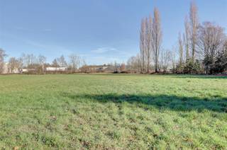 Idyllische paardenweide / bosgrond in Bonheiden - 5.956 m² Droomt u van rust, natuur en ruimte? In het groene en landelijke Bonheiden bieden wij deze...