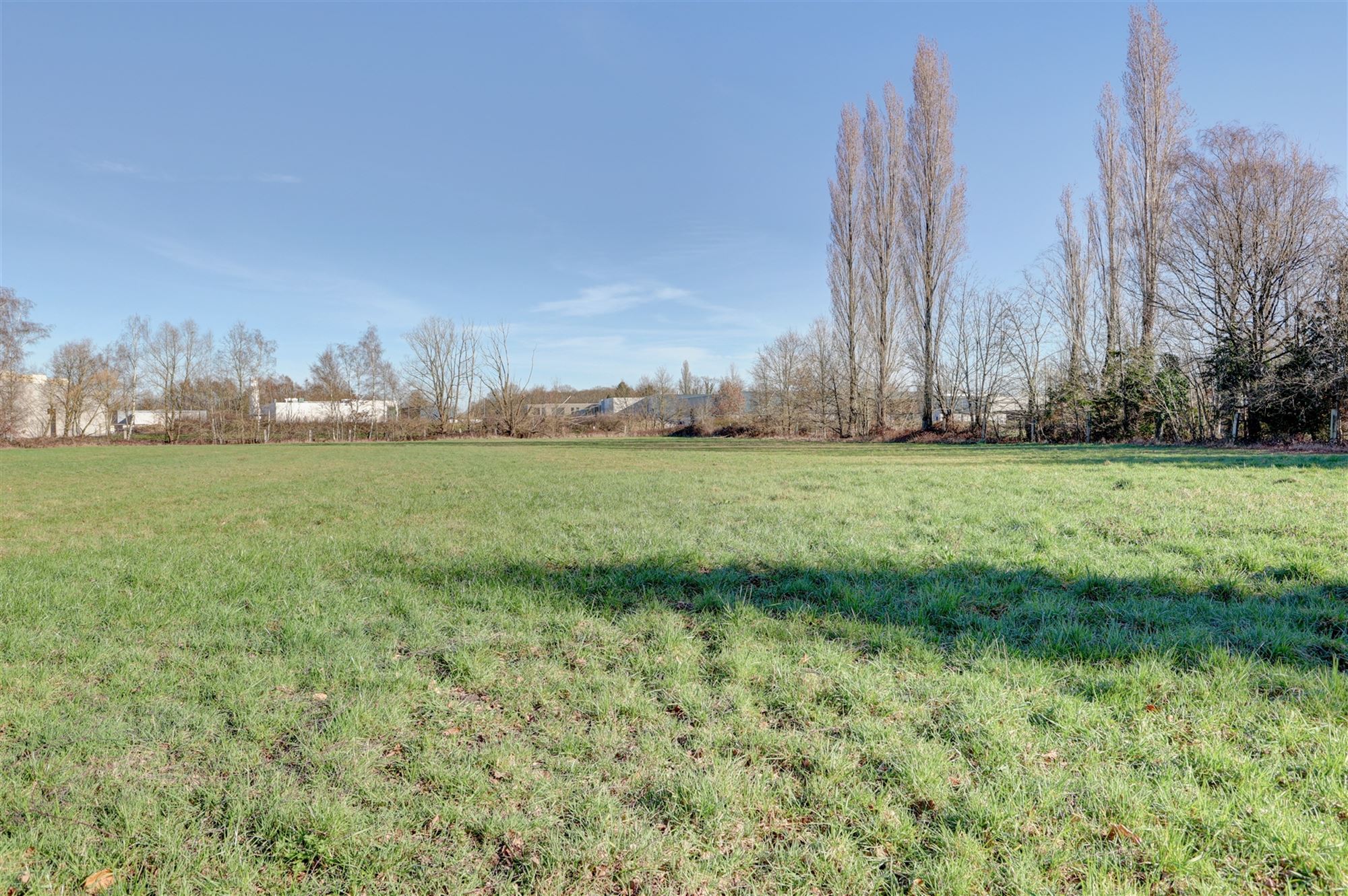 Terrain forestier - photo 3