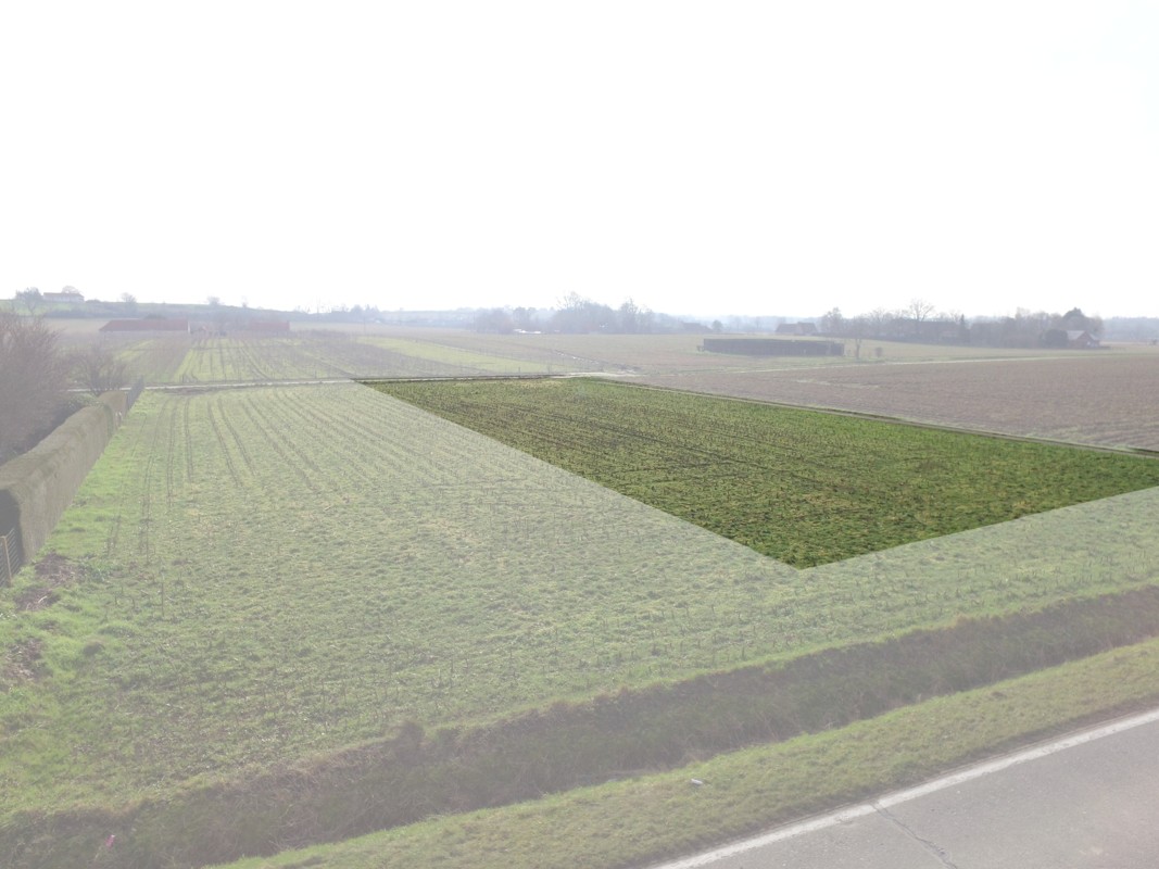 Bouwgrond te Oudenaarde voor villa/open bebouwing - photo 1