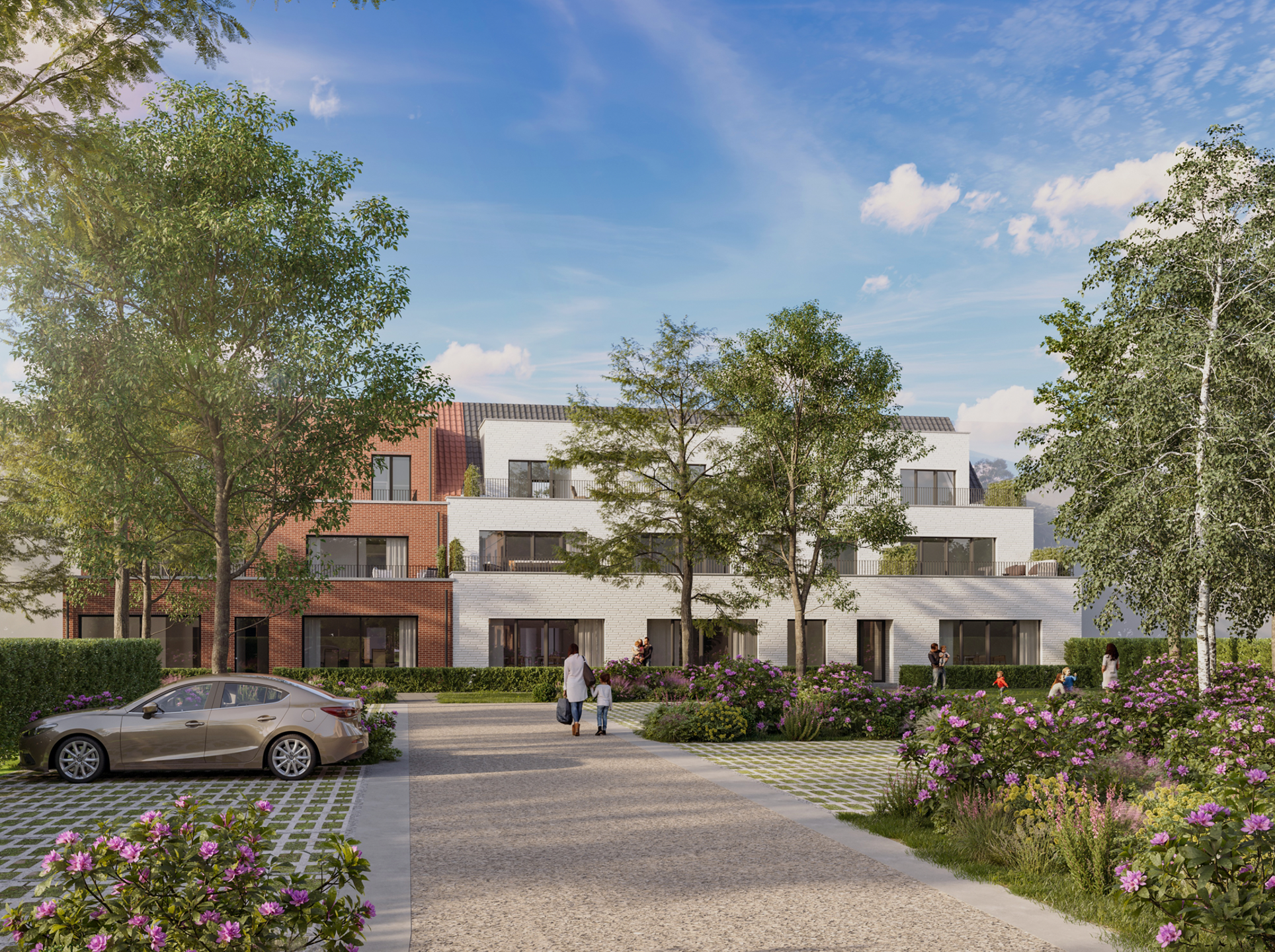 Projet à vendre à Sint-Amands - photo 1