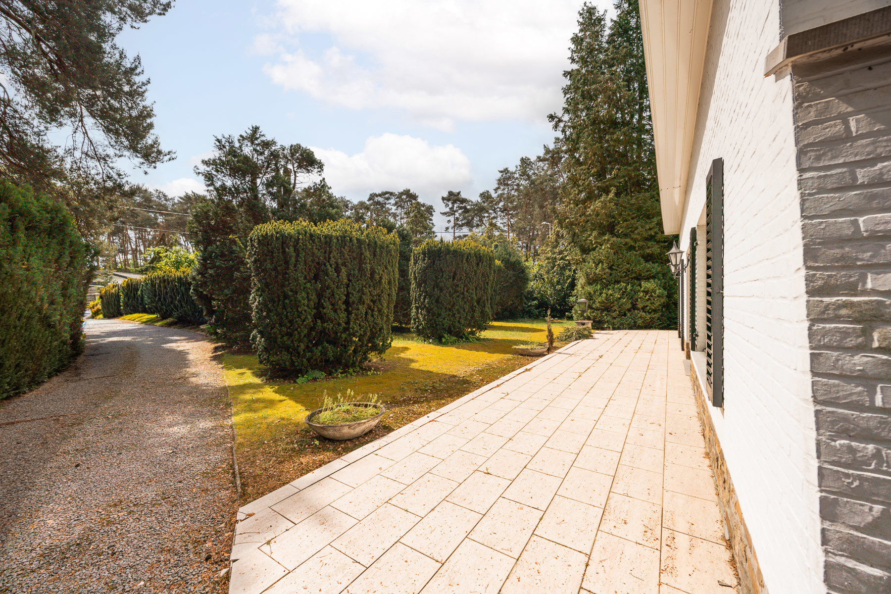Te renoveren open laagbouwwoning op 2.497 m² te Tremelo - foto 3