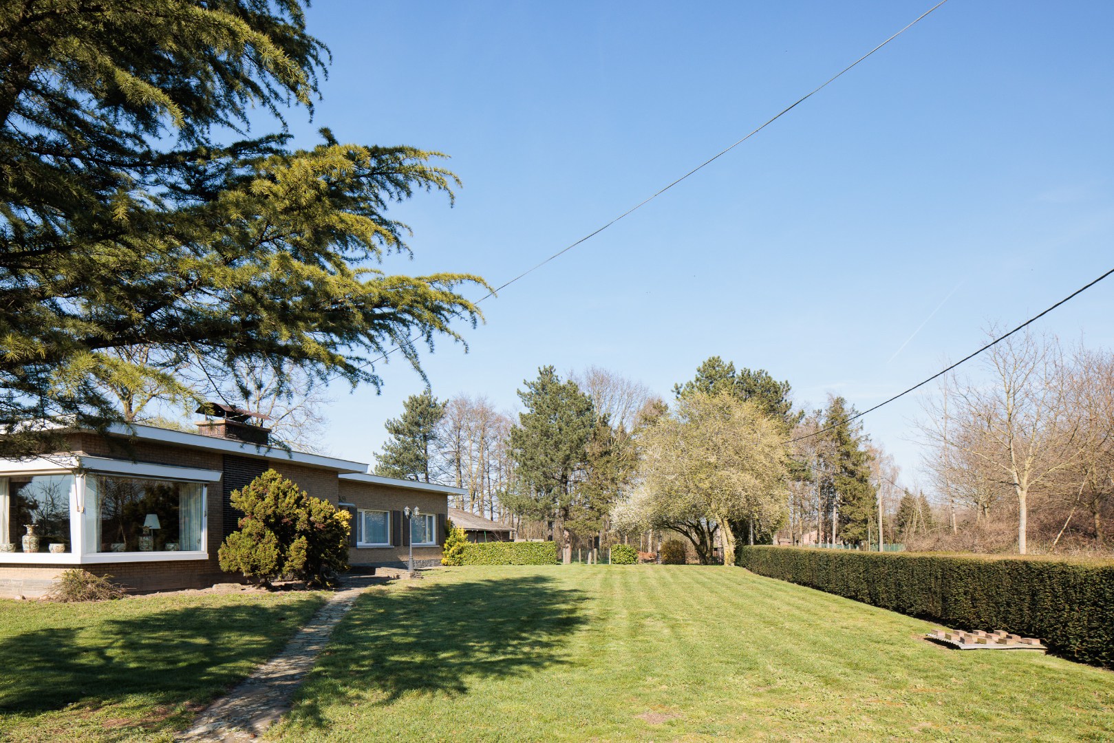 Prachtig gelegen bungalow meer dan 5000m2 met magazijn, garage en tuin - foto 4