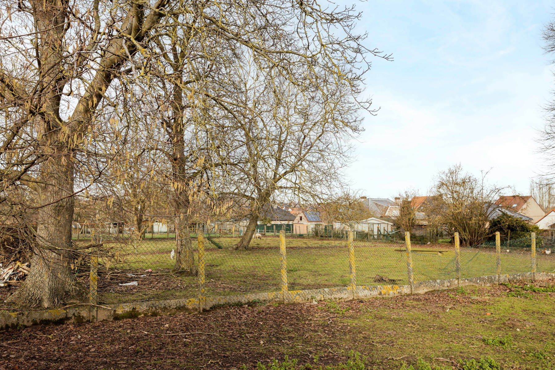 Perceel "bouwland" van 2216 m2  - foto 5