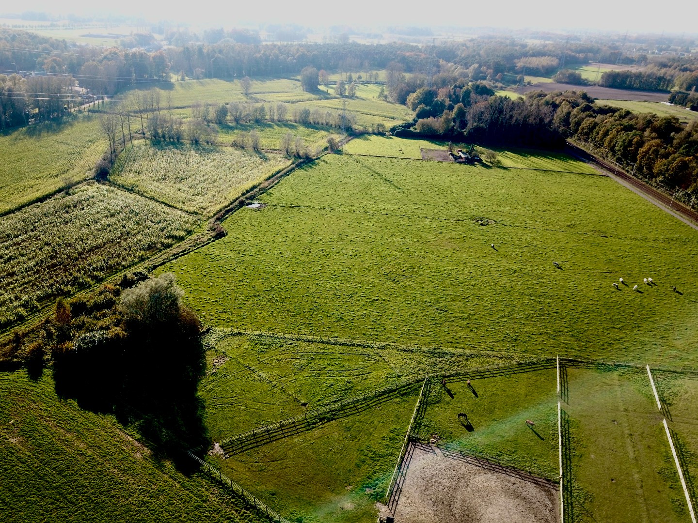 Land for sale in Waasmunster - photo 2