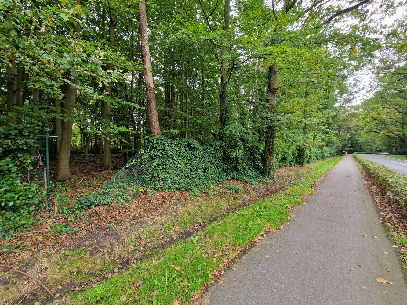 Bouwgrond (5.003 m²) voor een open bebouwing in Kapellen! - foto 5