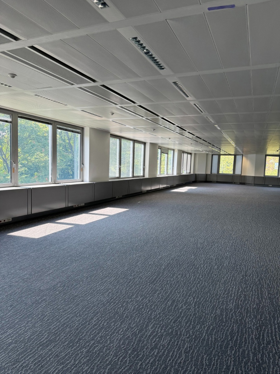 Commercial for rent in Waterloo - photo 3