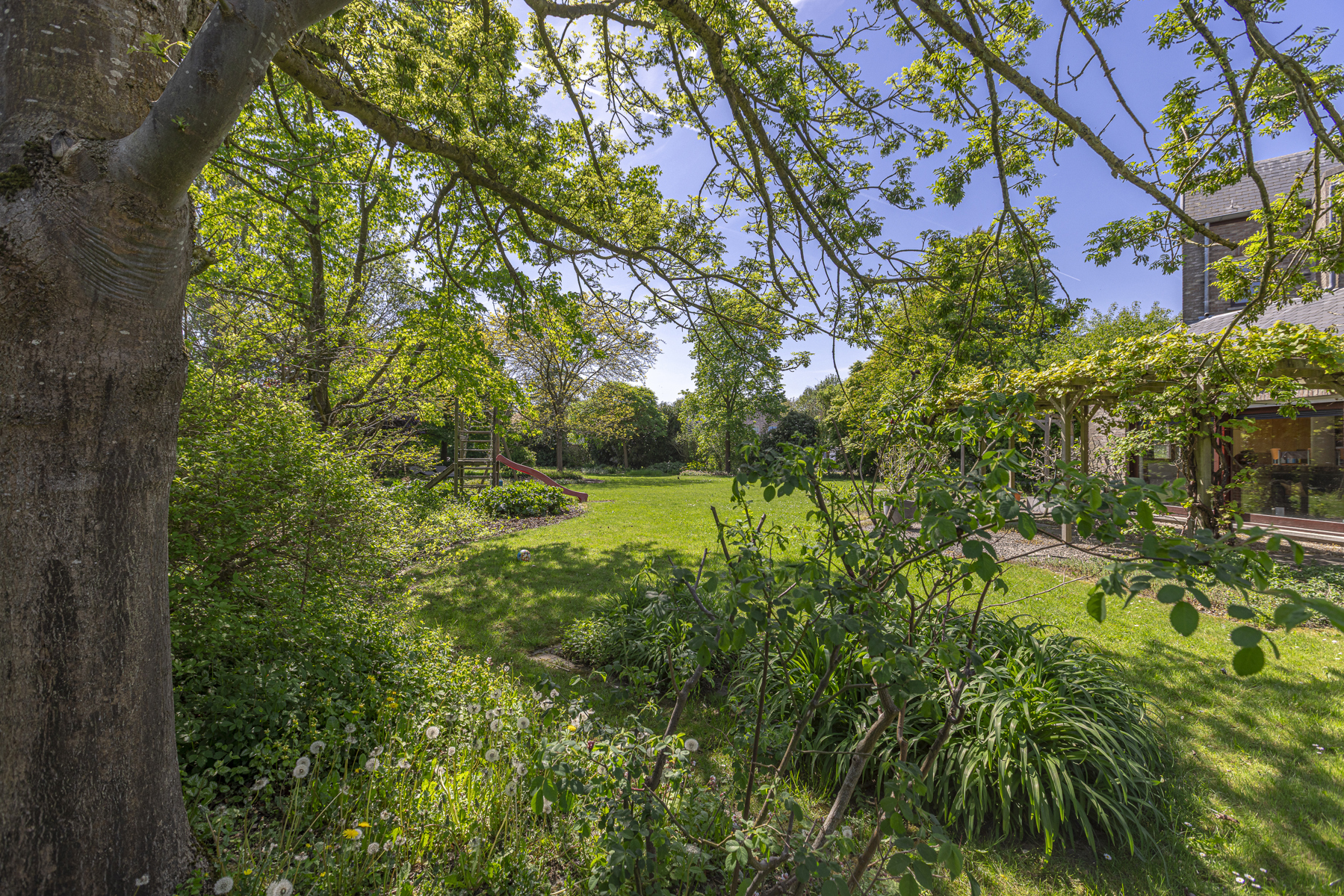 House for sale in Grimbergen with 4 bedrooms - photo 5