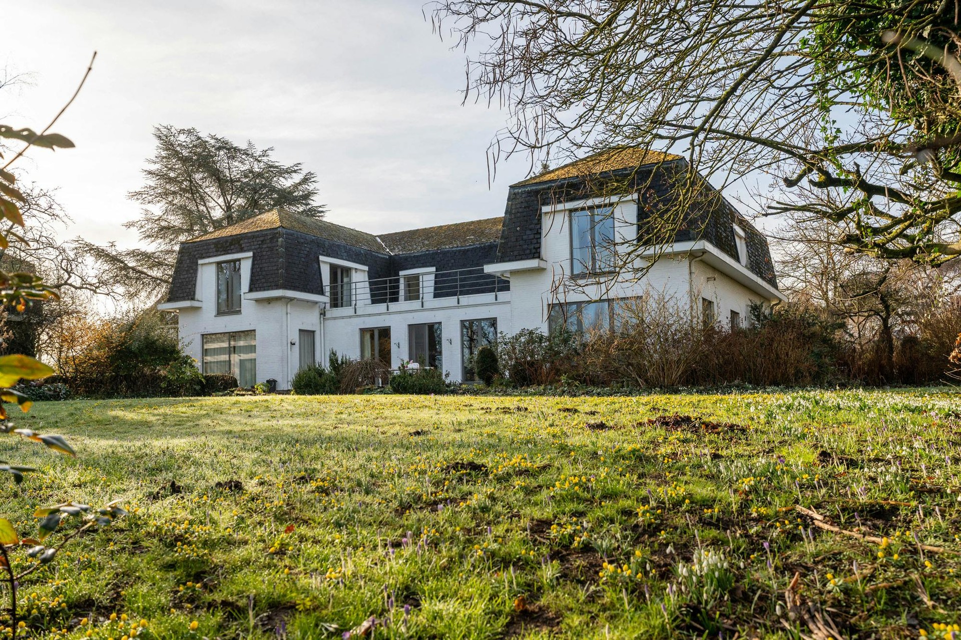 Karaktervolle architectenvilla op uitzonderlijk domein in Diepenbeek - foto 3