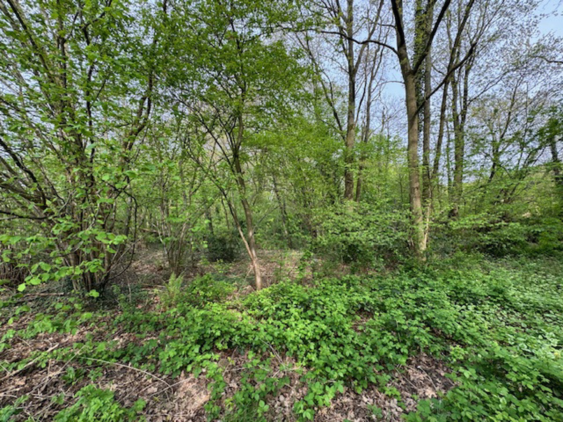 Bouwgrond voor open bebouwing (79 meter straatbreedte) - foto 4