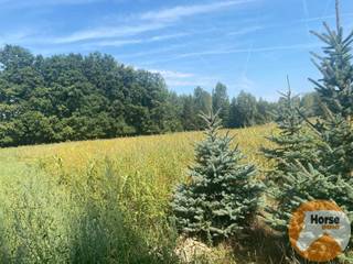 ERPE-MERE - Weide van +/-75areDit stuk weide is ongeveer 7.550 m². Dit perceel kunt u terugvinden onder ERPE-MERE AFD 1/ERPE, sectie: C, nummer:...