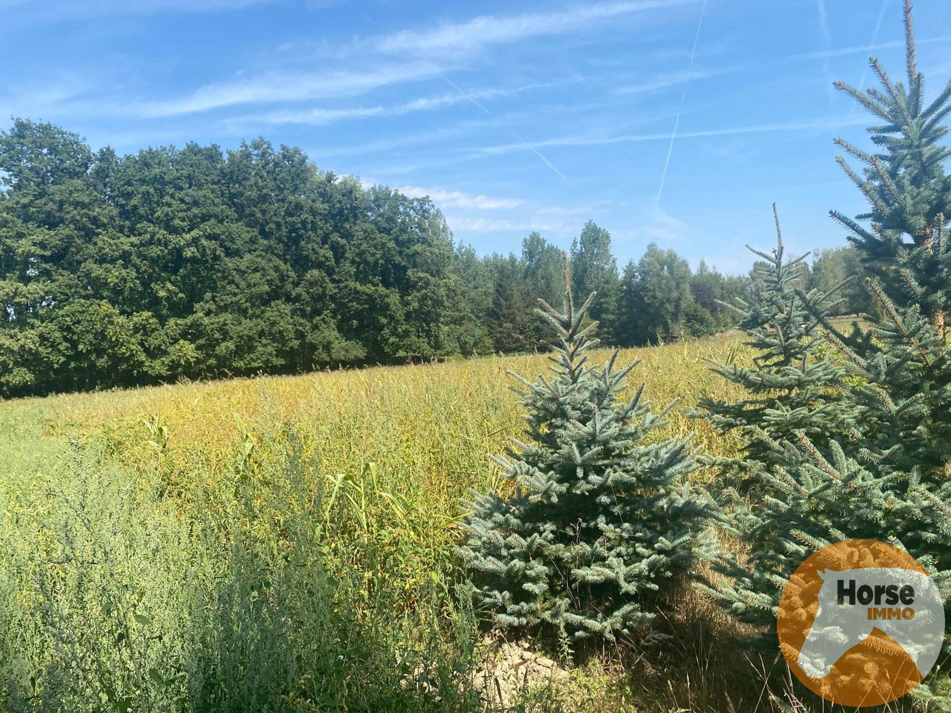 ERPE-MERE - Weide van +/-75 are - foto 2