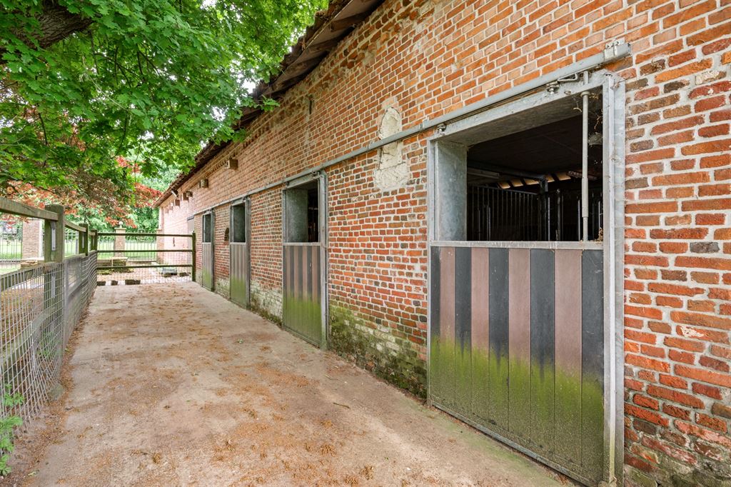 Landelijke gelegen woning met stallen op ca. 1,6ha te Retie - foto 2