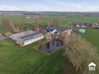 Te koop: draaiend landbouwbedrijf in de Sint-Sixtusstraat, Poperinge. Deze boerderij uit 1957 biedt een solide basis voor wie op zoek is naar een...