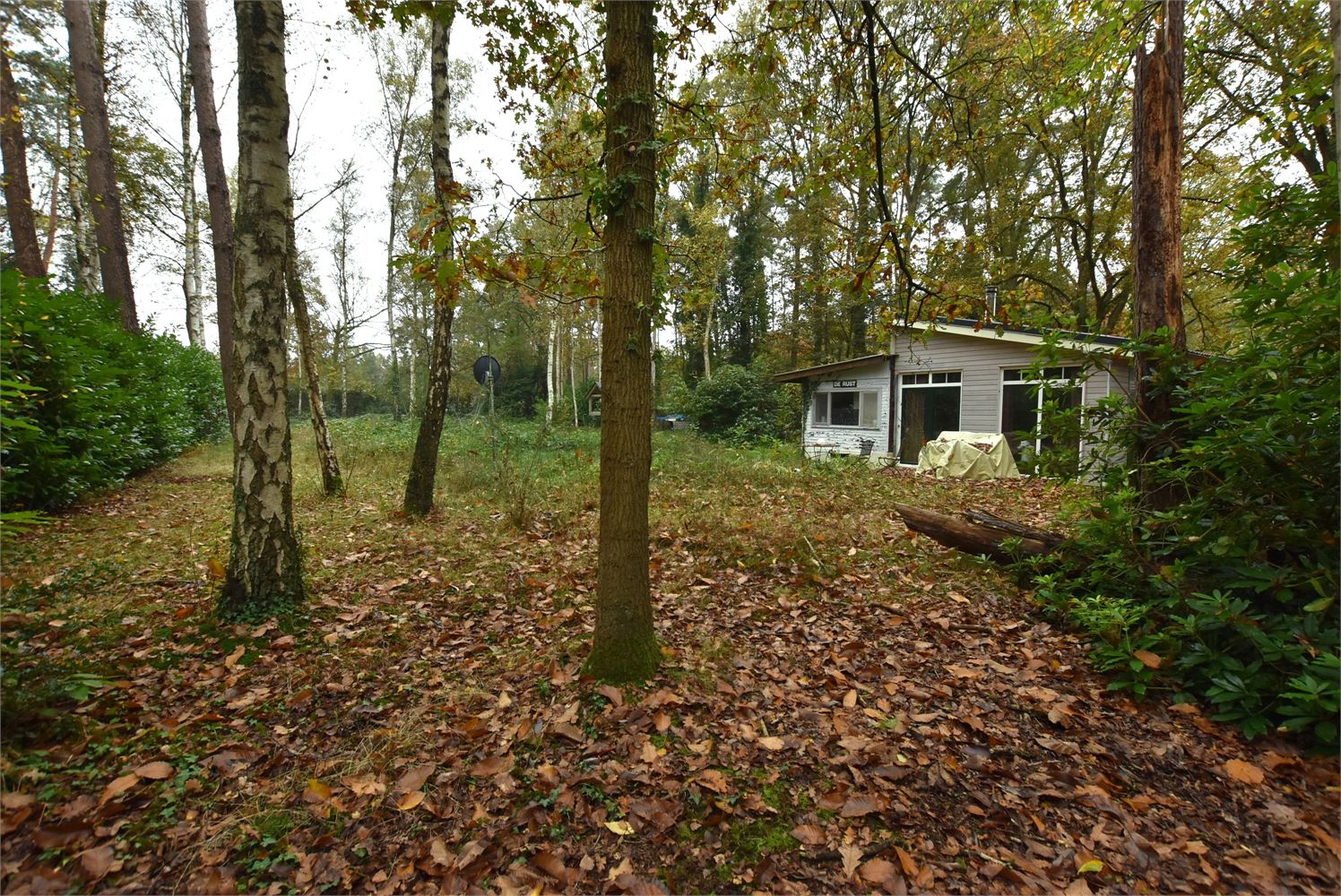 Gezellige chalet gelegen op ruim perceel - foto 1