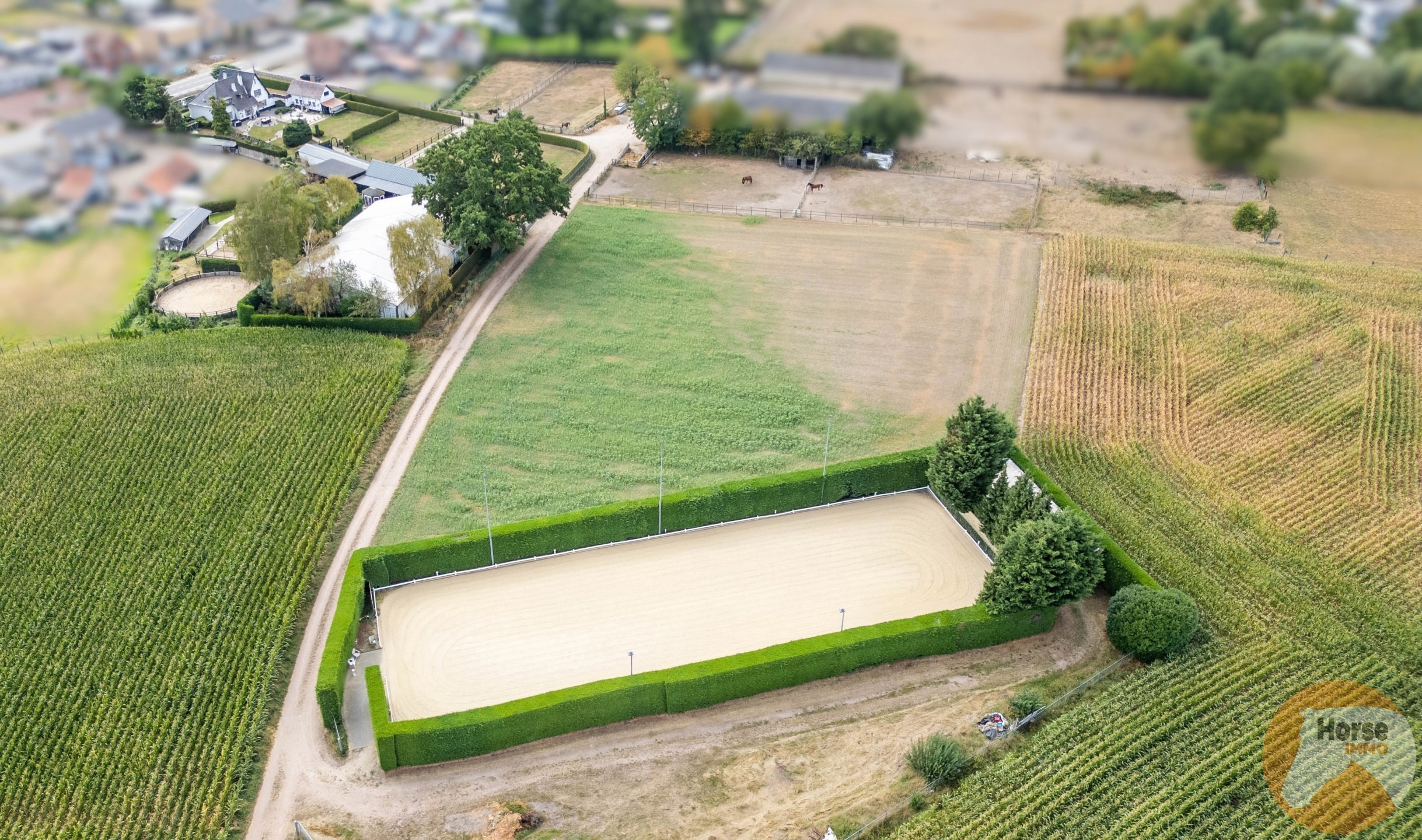 NEEROETEREN-Woning met accommodatie voor (semi)professioneel - foto 5