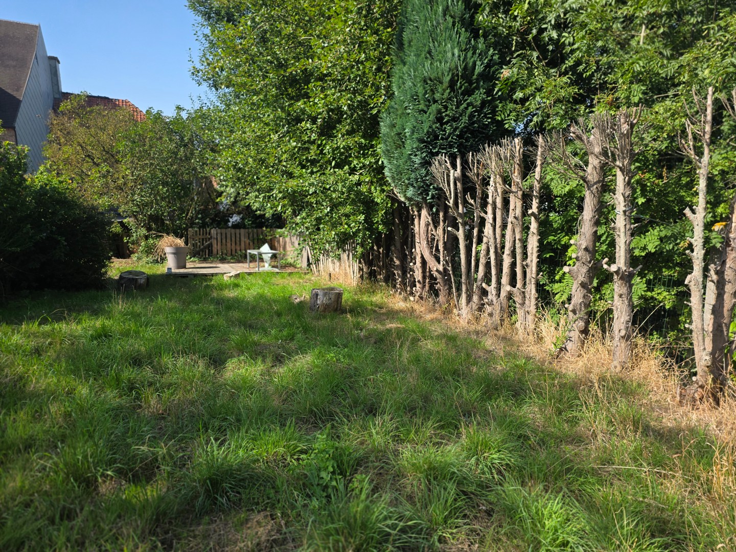 Te renoveren woning met mooie tuin!!! - photo 5