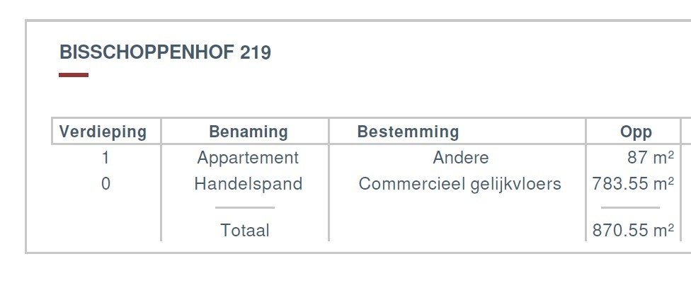Interessant beleggingsvastgoed met verhuurd handelsgelijkvloers en appartement op toplocatie - foto 3
