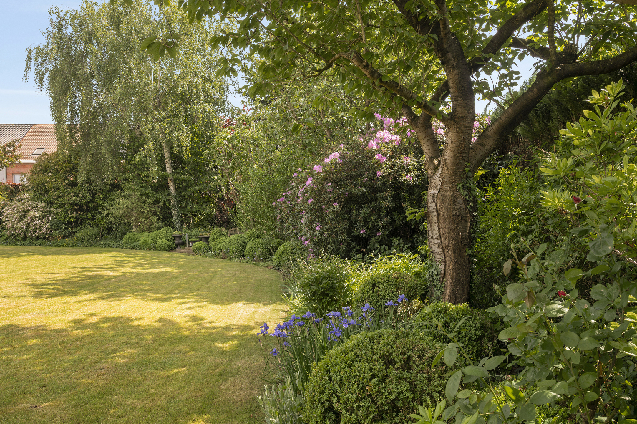 Karaktervolle VILLA (5 slk) met prachtig aangelegde TUIN. - foto 5