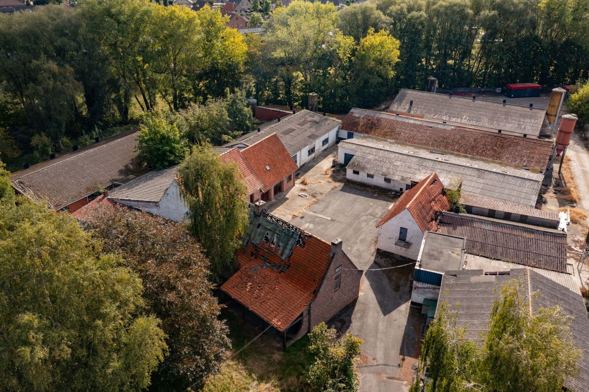 Varkensbedrijf te koop te Bavikhove - photo 2