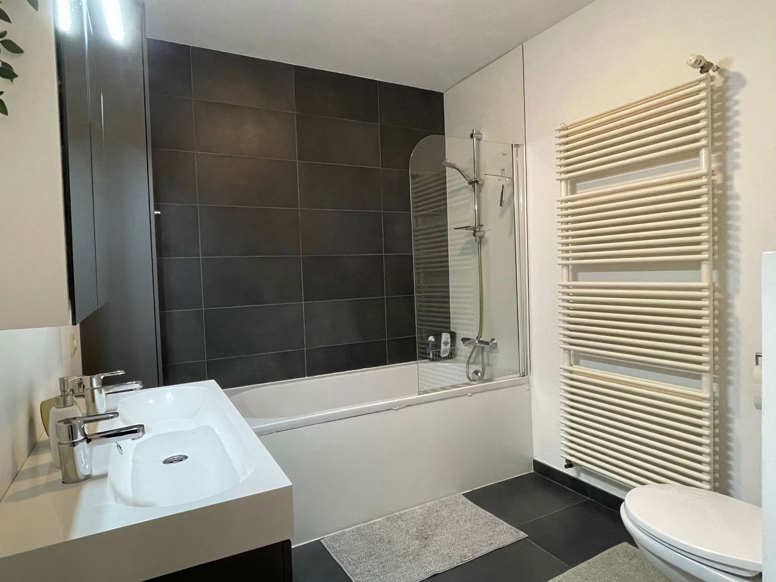 Ruim en lichtrijk appartement met garage in centrum Lokeren - foto 5