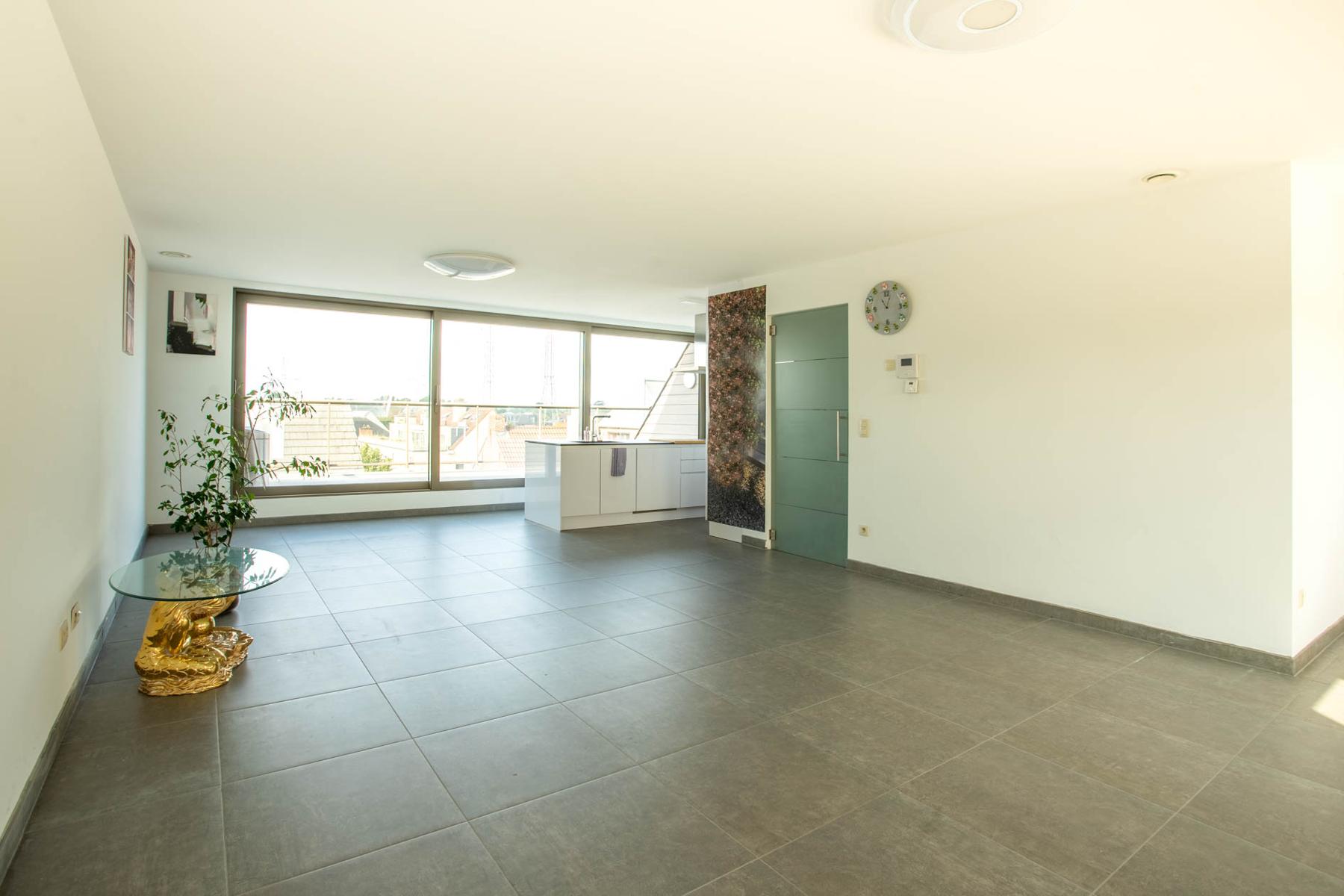 DAKAPPARTEMENT MET 2 SLAAPKAMERS EN TERRAS - foto 2