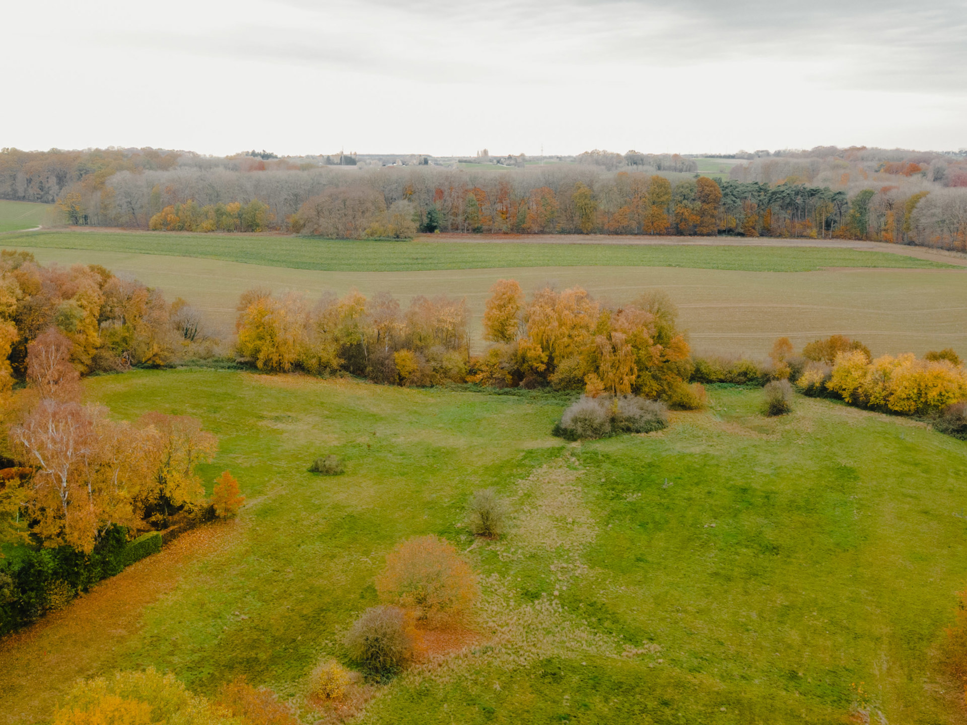 Land for sale in Lasne-Chapelle-Saint-Lambert - photo 3