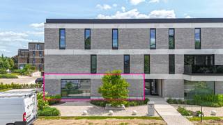 In de Grote Eggestraat in Zonhoven bieden wij een prachtige gelijkvloerse handelsruimte te koop aan met een vloeroppervlakte van 173 m².Deze moderne...