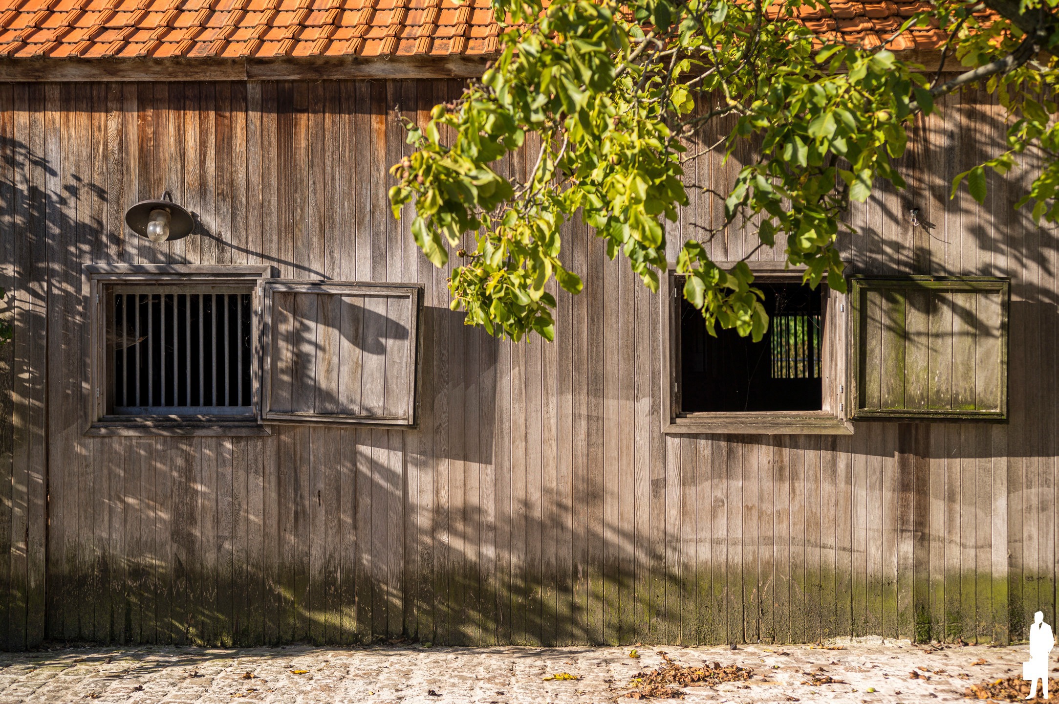 Uniek gelegen hoeve op ca. 4.000m² (+ weilanden optioneel) - foto 5