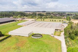 VALIMMAS verhuurt dit commercieel welgelegen serre-complex, ideaal voor agrarische- of tuinbouwactiviteiten. Serres grotendeels metalen...