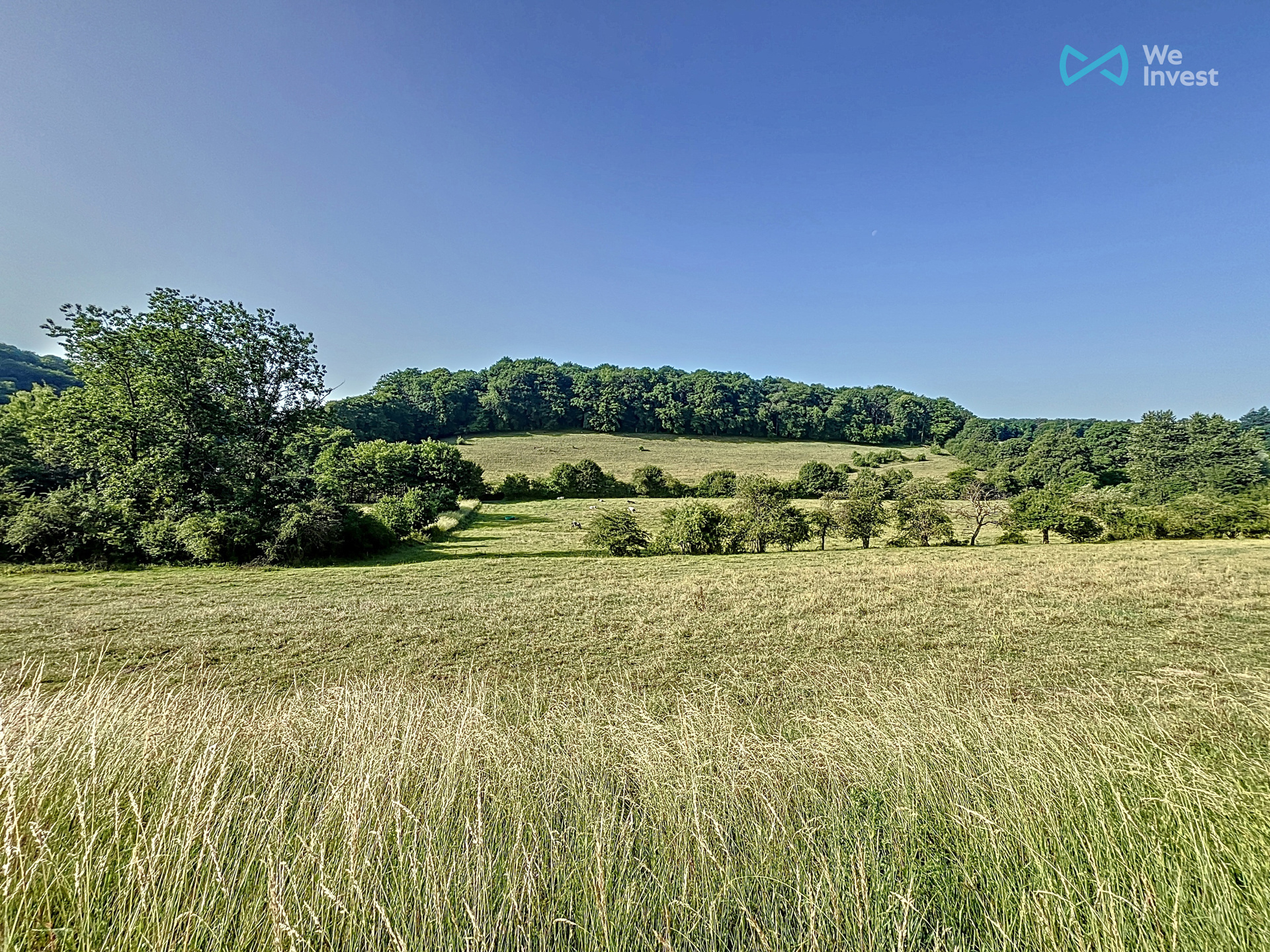 Grond te koop in Chimay - foto 4