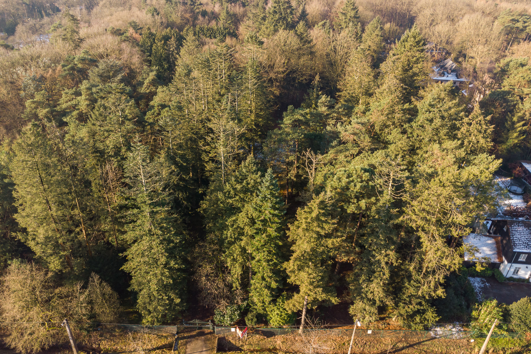 Prachtige bouwgrond te koop bij natuurdomein in Schilde! - foto 5