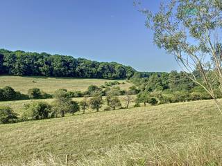 Grond te koop in Chimay