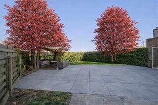  Rez de chaussée- hall d'entrée avec vestiaire- toilettes pour invités- pièce polyvalente : idéale comme bureau, salle de loisirs ou chambre...