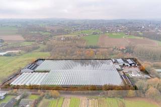 Bio gecertificeerd tuinbouwbedrijf te koop te Lennik met circa 16.000 m² verwarmde serres.Serres voorzien van betonpaden, beregening, verwarming via...