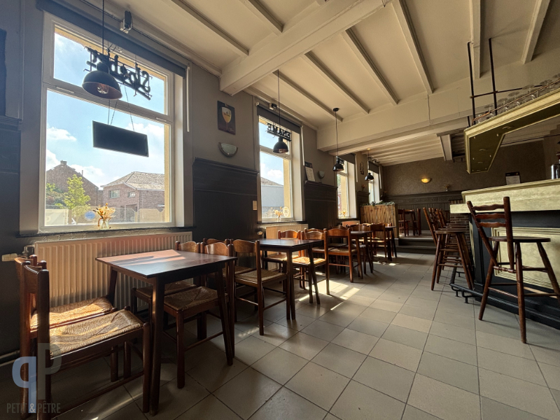 Handelspand met koer en grote garage - foto 3