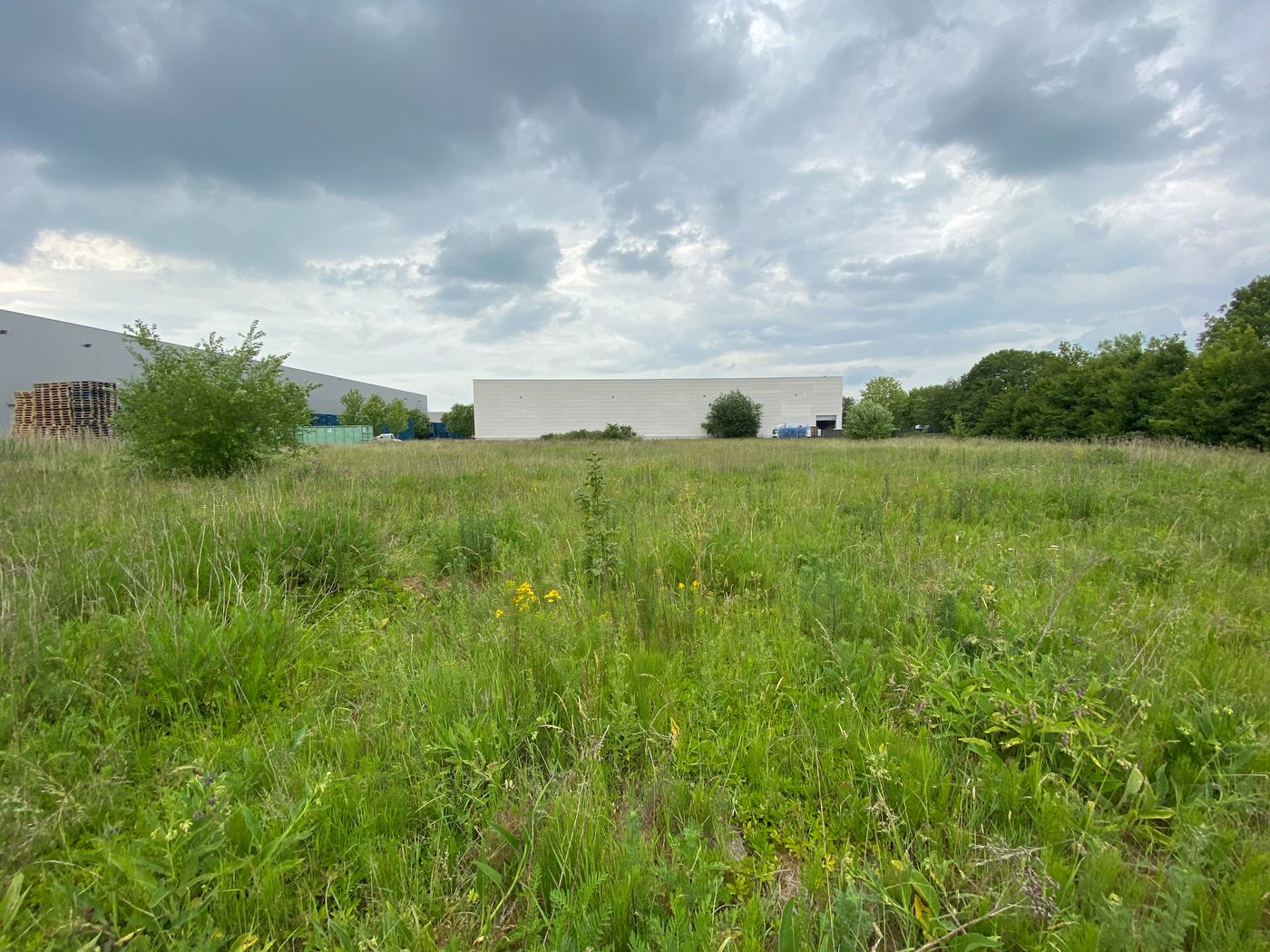 Nieuwbouw logistieke opslagruimte met kantoren te huur - foto 2