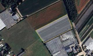 Terrain à vendre à Hoogstraten