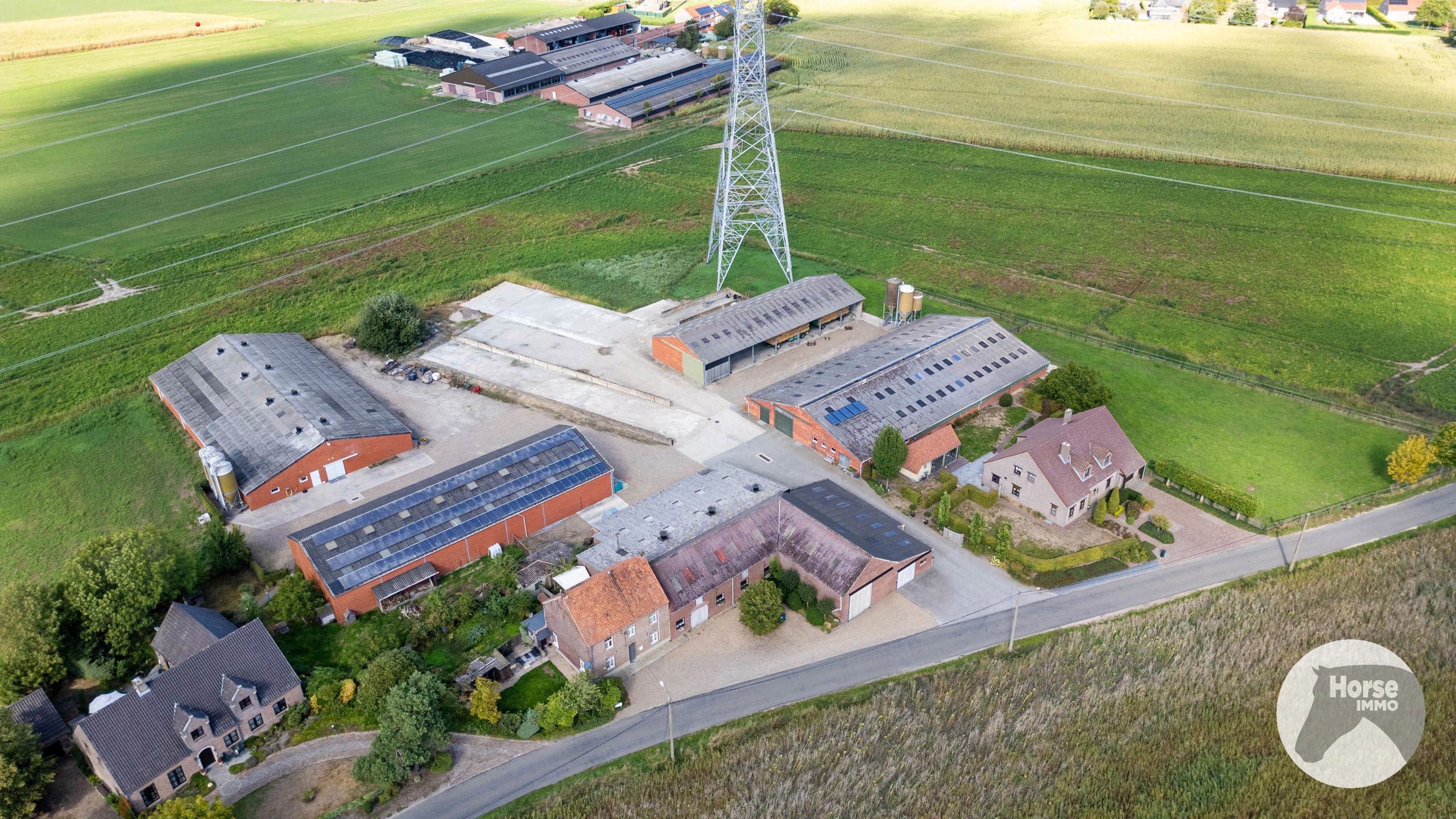KINROOI - Landbouwwoning met loodsen op 1ha5 (32ha mogelijk) - foto 5