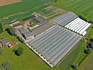 Groenten en fruit bedrijf te koop te Veurne (Beauvoorde) met productie van aardbeien, deels in volle grond, deels op stellingen. Teelt van ander...