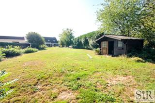 Ben je op zoek naar een leuke woning met een grote groene tuin én een apart (thuis)kantoor? Deze woning is perfect voor wie houdt van rust, privacy...