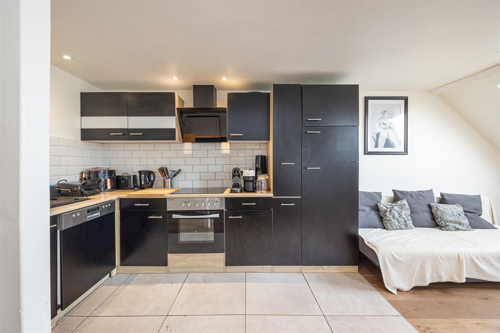 Gerenoveerd appartement met mezzanine - foto 3