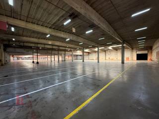 Uitstekend gelegen bedrijfsgebouw met verschillende mogelijkheden, bestaande uit een <strong>ruime magazijnruimte </strong>van 7.850 m² (hal C) en gelegen op <strong>zichtlocatie </strong>langs de <strong>E17</strong>. Vlot bereikbaar op slechts 6 minuten van de op- en afrit 15 'Sint-Niklaas centrum' van de E17, met onmiddellijke verbinding naar de E34.<br /><br />Het magazijn is uitgerust met één sectionale poort, <strong>drie laadkades</strong>, grote lichtstraten en warmeluchtblazers. Extra poorten of laadkades zijn bespreekbaar. Rond het gebouw bevindt zich een deels verhard terrein van maar liefst 3.000 m² met een zeer <strong>ruime parkeer- en manoeuvreerruimte</strong>. <br /><br />Afhankelijk van uw bedrijfsbehoeften zijn <strong>grotere of kleinere oppervlaktes beschikbaar</strong>, en er is tevens mogelijkheid tot het bijhuren van een kantoorruimte. Bovendien is een flexibele huurtermijn bespreekbaar, waardoor deze locatie zich uitstekend leent voor zowel tijdelijke als langdurige huur. <strong>Onmiddellijk beschikbaar!</strong><br /><br />Contacteer PANORAMA voor bijkomende inlichtingen of een vrijblijvend plaatsbezoek via <strong>0477 06 30 30</strong>.
