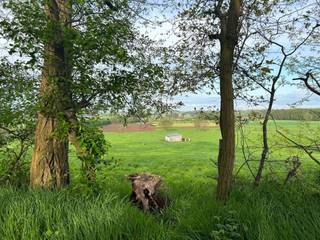 Land for sale in Bekkevoort