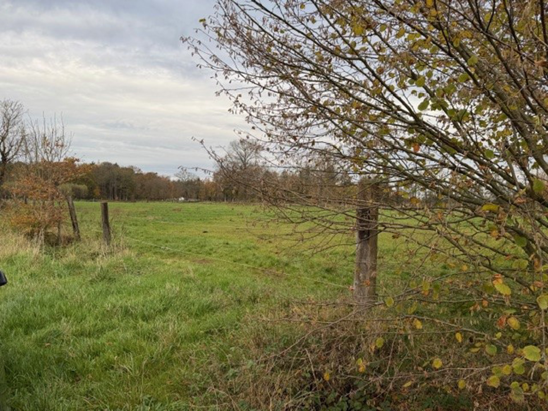 Landbouwgrond / Weide te koop – 22.359 m²! - foto 5