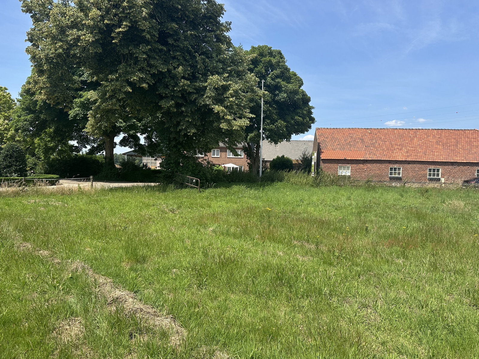 Grond te koop in Kinrooi - foto 4