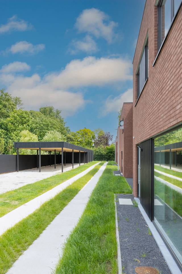 Project te koop in Wetteren
