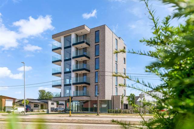 Project for sale in Beringen