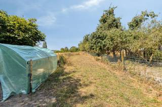 Vous recherchez une maison à vendre à Torhout ? Alors cette maison vaut vraiment le détour. Cette maison a déjà bénéficié d'un début de rénovation qualitatif, vous permettant de poursuivre la finition et de la décorer selon vos goûts.<br />Un atout absolu est le jardin profond et ensoleillé. Idéal pour ceux qui aiment la verdure, rêvent d'un potager, d'un petit bétail ou d'une grande aire de jeux pour enfants.<br />Cette maison est également prête pour l'avenir en matière de durabilité. Il est équipé de 10 panneaux solaires (3,75 kWp) et d'une batterie domestique de 5 kWh, ce qui permet une expérience de vie plus économe en énergie.<br />À l'avant, vous pouvez profiter d'une vue dégagée. Grâce à son emplacement à la périphérie de Torhout, les écoles, les magasins, la gare et les principales routes d'accès sont facilement accessibles.<br /><br />Disposition de la maison à vendre :<br /><br />* Rez-de-chaussée :<br />Entrée et escalier avec toilettes invités | cuisine ouverte avec espace de vie | buanderie | cour | jardin avec garage (accessible par une route commune)<br />* Étage :<br />Hall de nuit | salle de bain avec douche, lavabo et toilettes | 3 chambres<br />*Grenier<br /><br />Les avantages de cette maison<br />- Emplacement facilement accessible à Torhout.<br />- La rénovation a déjà débuté de manière qualitative <br />- Jardin profond offrant de nombreuses possibilités pour les amateurs de jardinage et les familles.<br />- Vue frontale ouverte<br />- 10 panneaux solaires (3,75 kWp) et une batterie domestique de 5 kWh.<br />- Près des écoles, de la gare et des principaux axes routiers.<br /><br />Vous recherchez une maison à vendre à Torhout où vous pourrez décider vous-même en partie de la finition tout en profitant d'un grand jardin, d'un investissement durable et d'un excellent emplacement ? Alors contactez-nous dès aujourd'hui pour une visite et découvrez par vous-même le potentiel de cette maison.<br /><br />Registre des mesures: non
