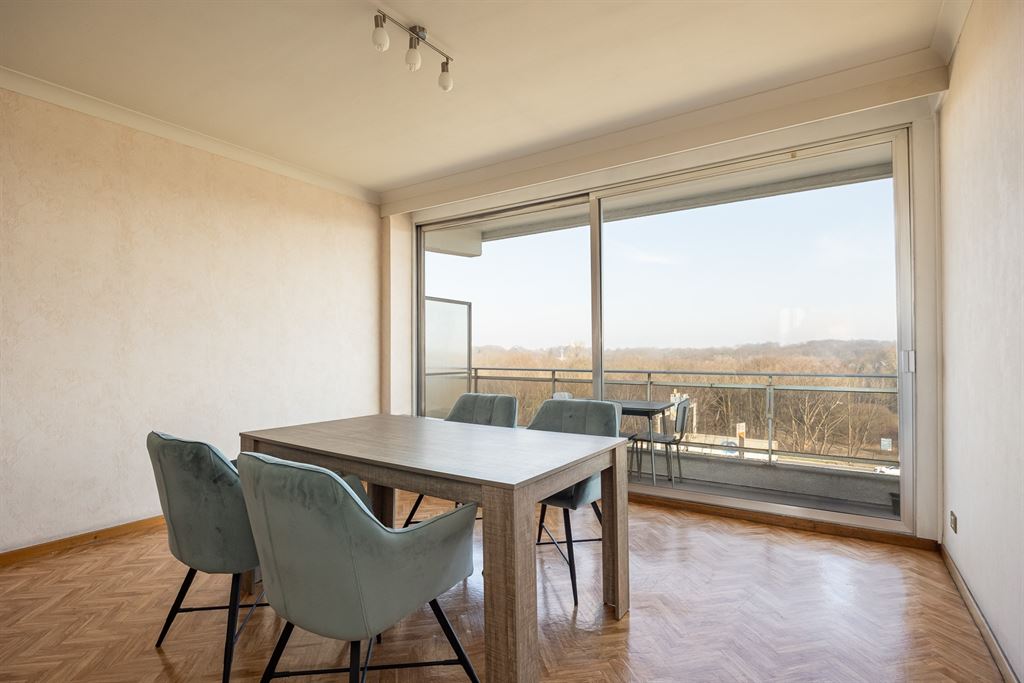 Appartement met terras en panoramisch zicht op park - foto 5